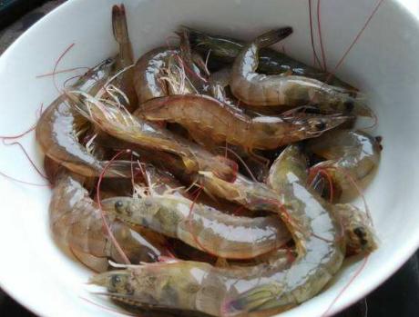 白水煮虾要怎么才不会黑,白水煮虾煮几分钟做法