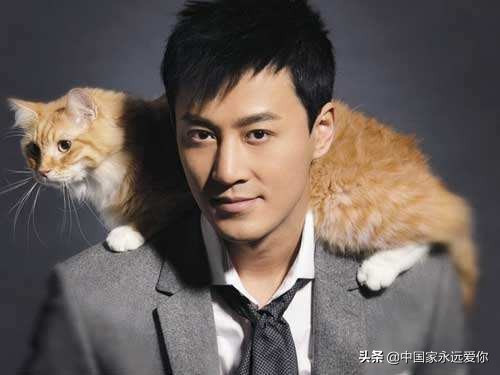 林峯爱不完,林峯爱与痛边缘歌曲