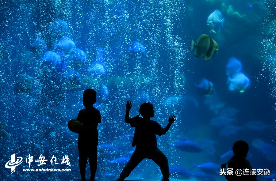 2018,安徽印象「徽镜映像工作室一年图片精选」