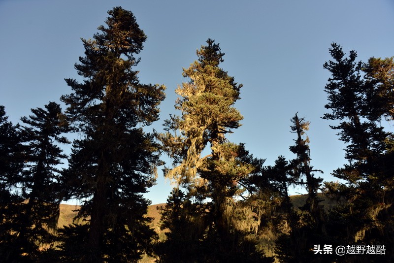 越野越酷的车辙印记（一）驻车玛娜茶金