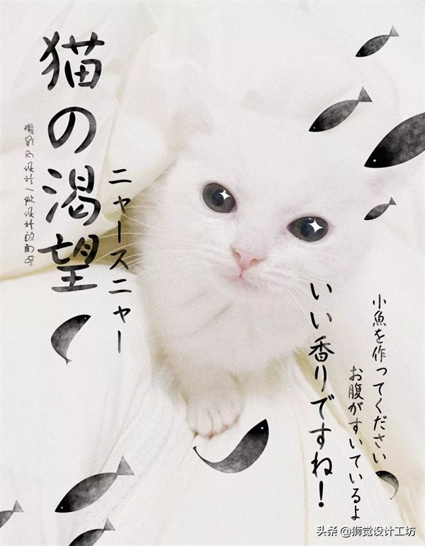 一张照片就能做出一幅海报,随手一拍怎么拍成大片