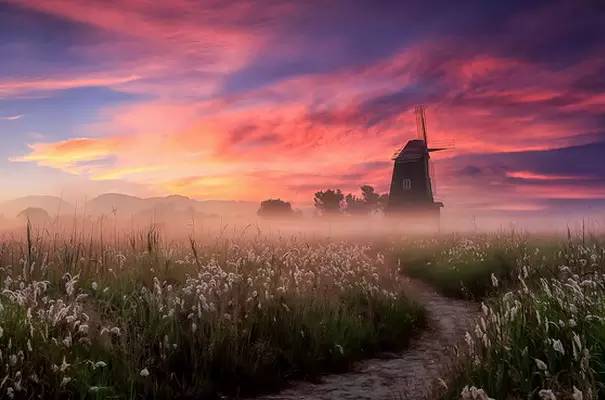 所谓知己全文,所谓蓝颜知己多半是互为备胎