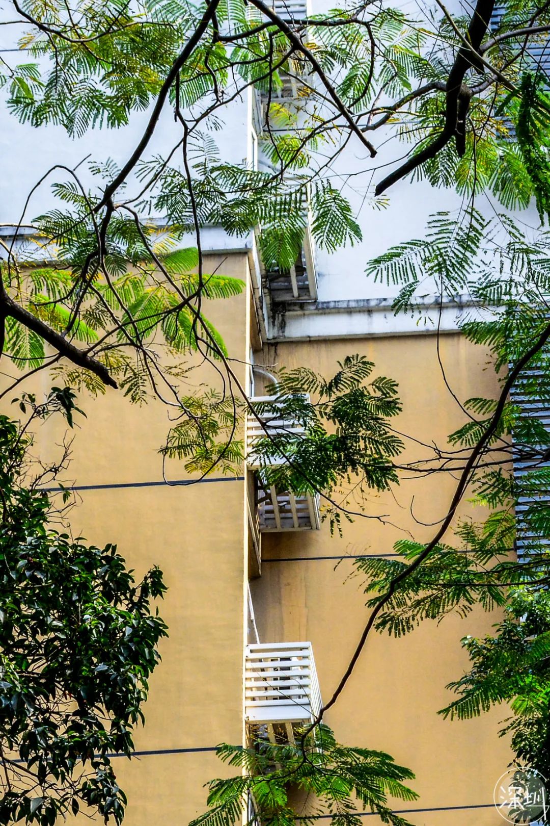 莲花村是哪个省的,中国莲花村排名