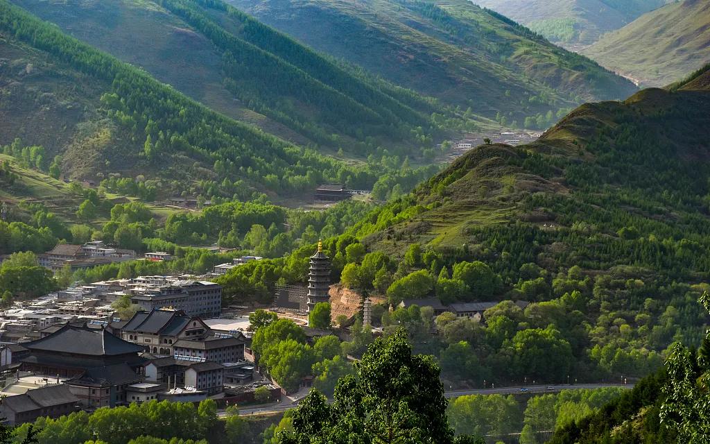 五台山志愿者服务队,五台山义工招募2023