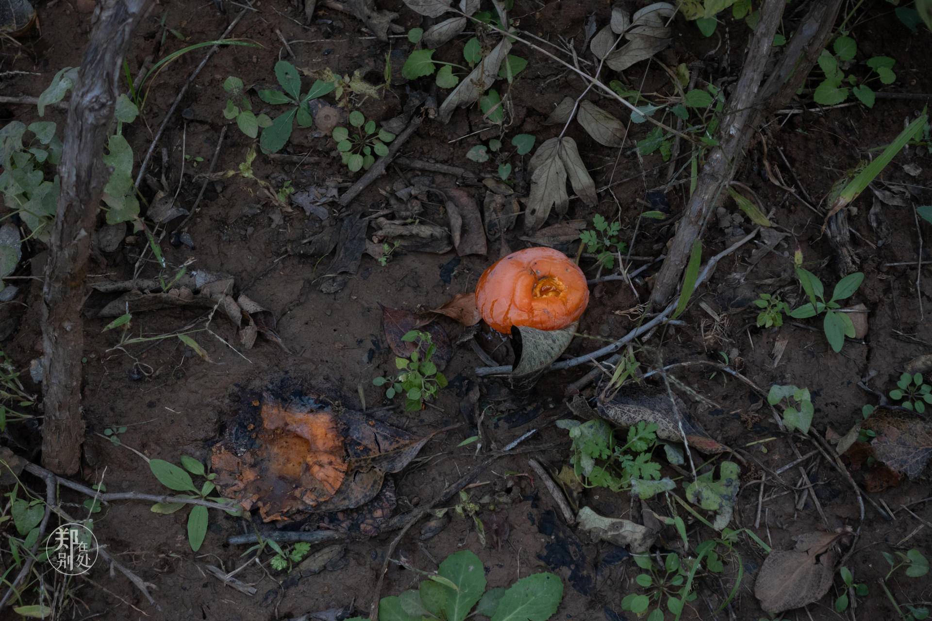 山西太行山攻略,山西太行山古村落自驾游