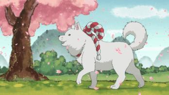 柚子高颜值推荐,柚子18斤