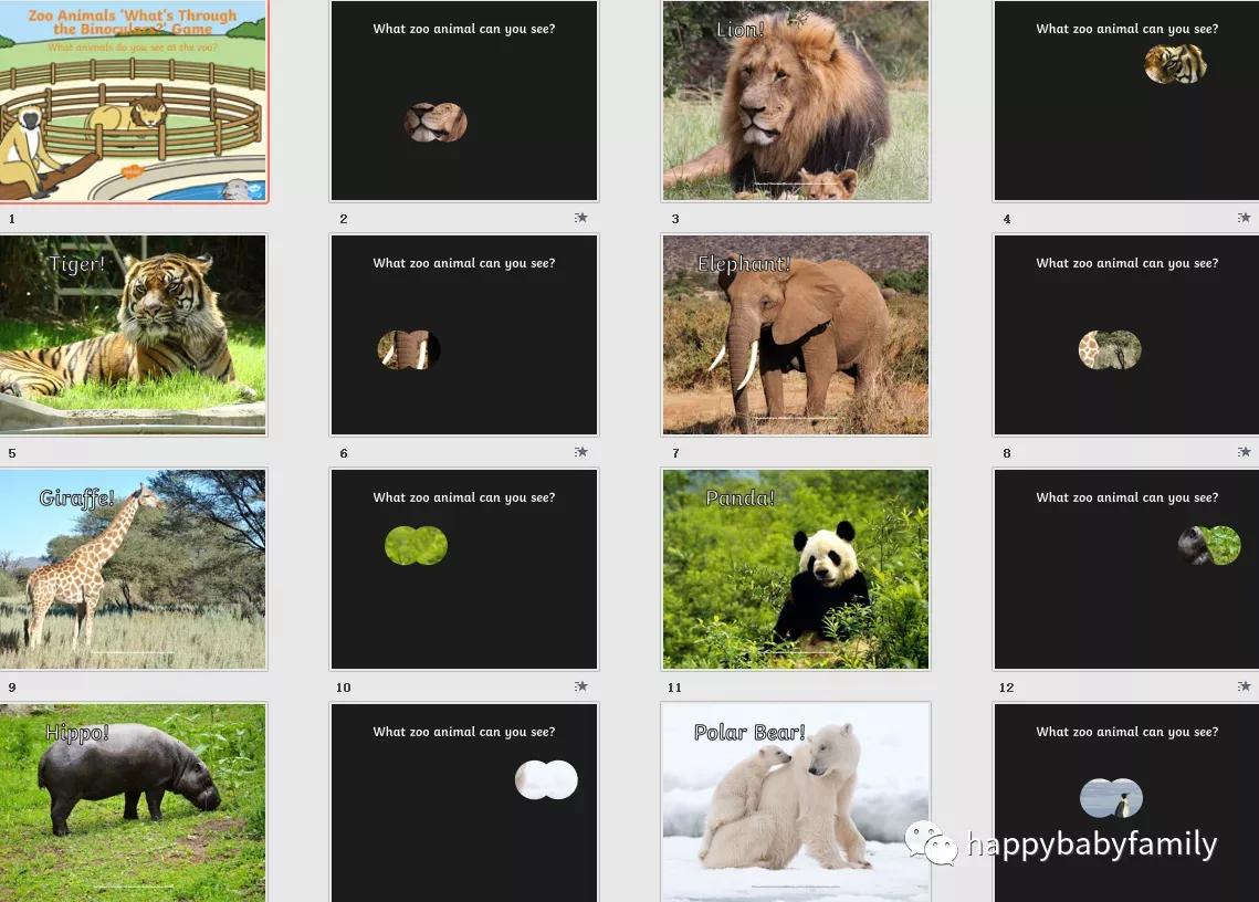 卡通小动物ppt免费,幼儿园卡通动物ppt免费图片