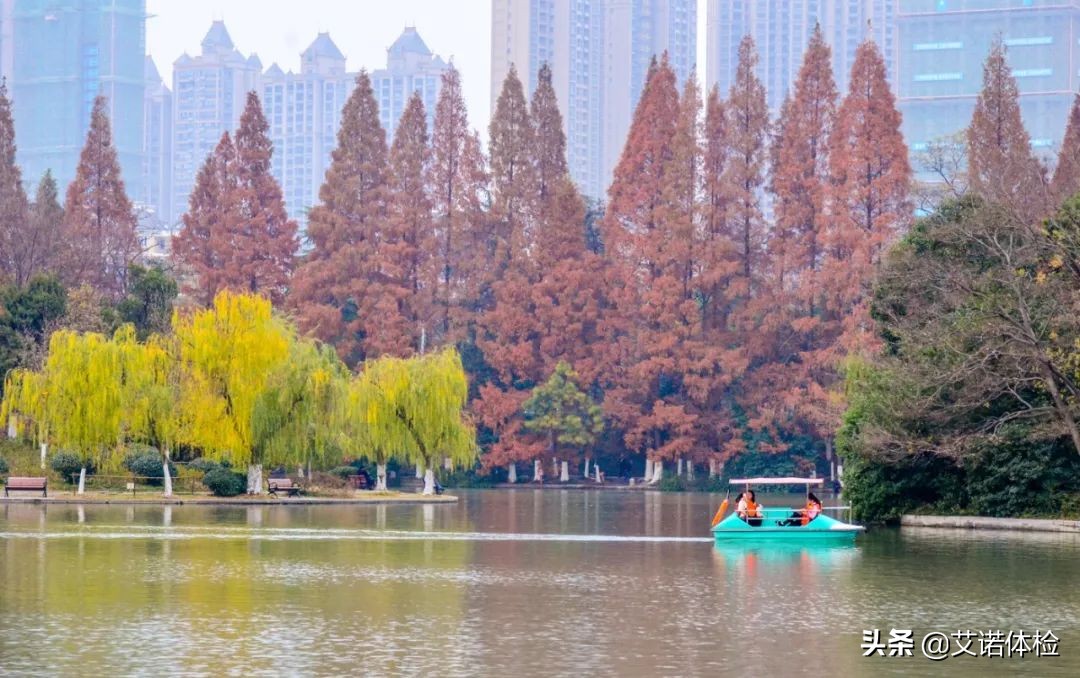 合肥景区免费景点,合肥旅游景点大全免费玩