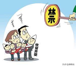 关于收养的问题,关于收养的一个小视频