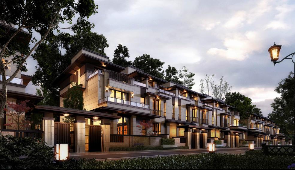 豪宅属性,规划逻辑景观高利用,地块和肌理,底TOWN户型