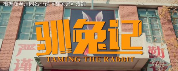 驯兔记感悟,驯兔记小孩