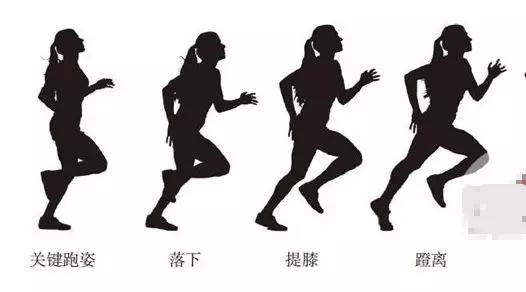 跑步为什么腿疼但是不累,为什么跑步导致腰特别疼起不来