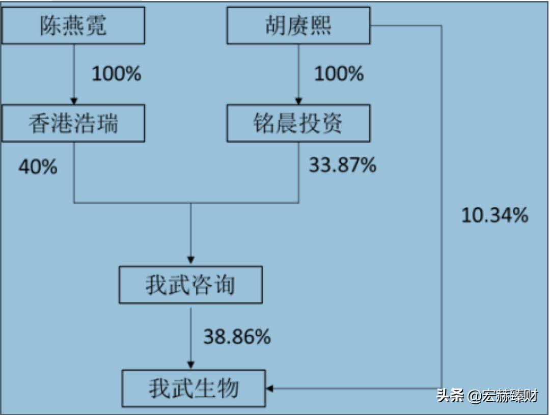 一文读懂生物进化,一文解析全装备