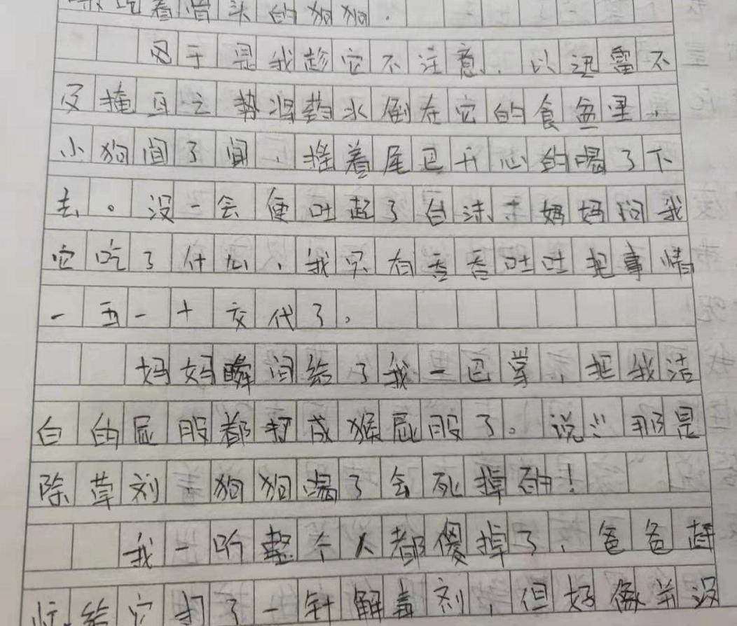 小学生心酸作文,小学生作文老师看完都哭了