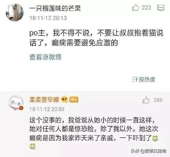 抖音里最火的网红猫,抖音上的几大网红猫