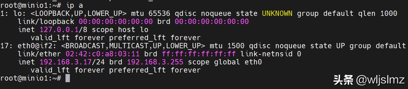 linux系统终端怎么查看自己ip,linux如何查看自动分配的ip地址
