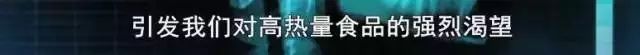 吃早餐真的会让人变胖嘛,bbc科学实验