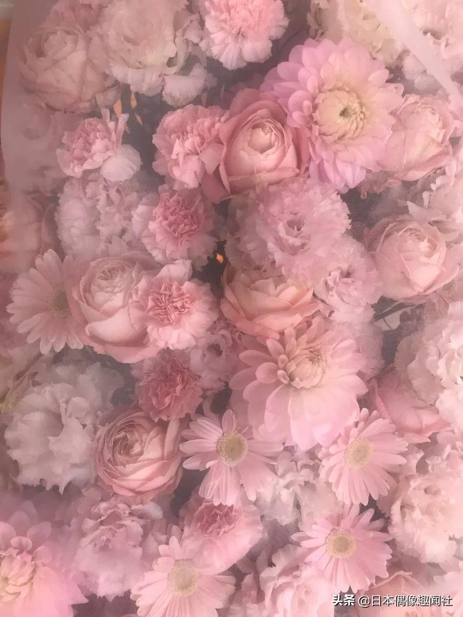 受口罩短缺困扰SKE48握手会延期，日向坂46首部纪录片将上映