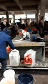 “我是塞翁，认识你这头千里马很高兴”哈哈哈，这届直男太逗了