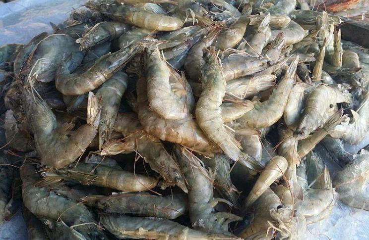 冰鲜虾和活虾的区别,买冰鲜虾应该怎么挑选