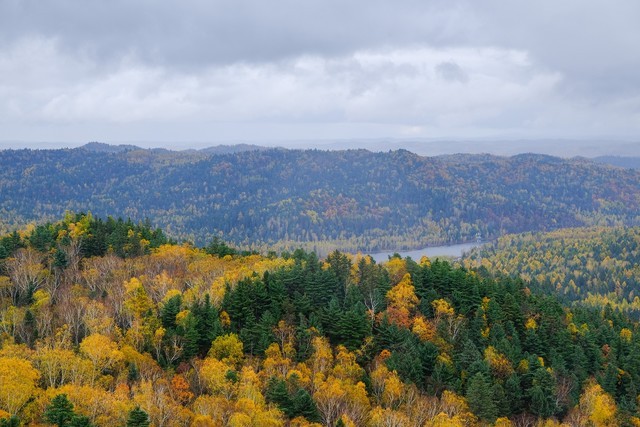 富士小巧轻便,富士轻便的相机