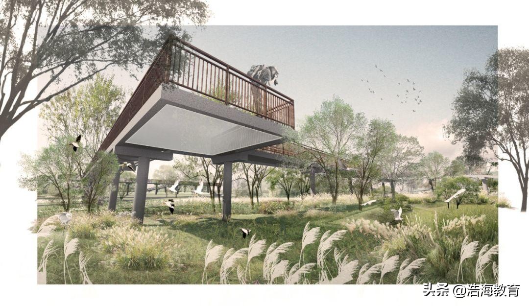 美术与设计类专业哪个更有前途,学设计的就业前后