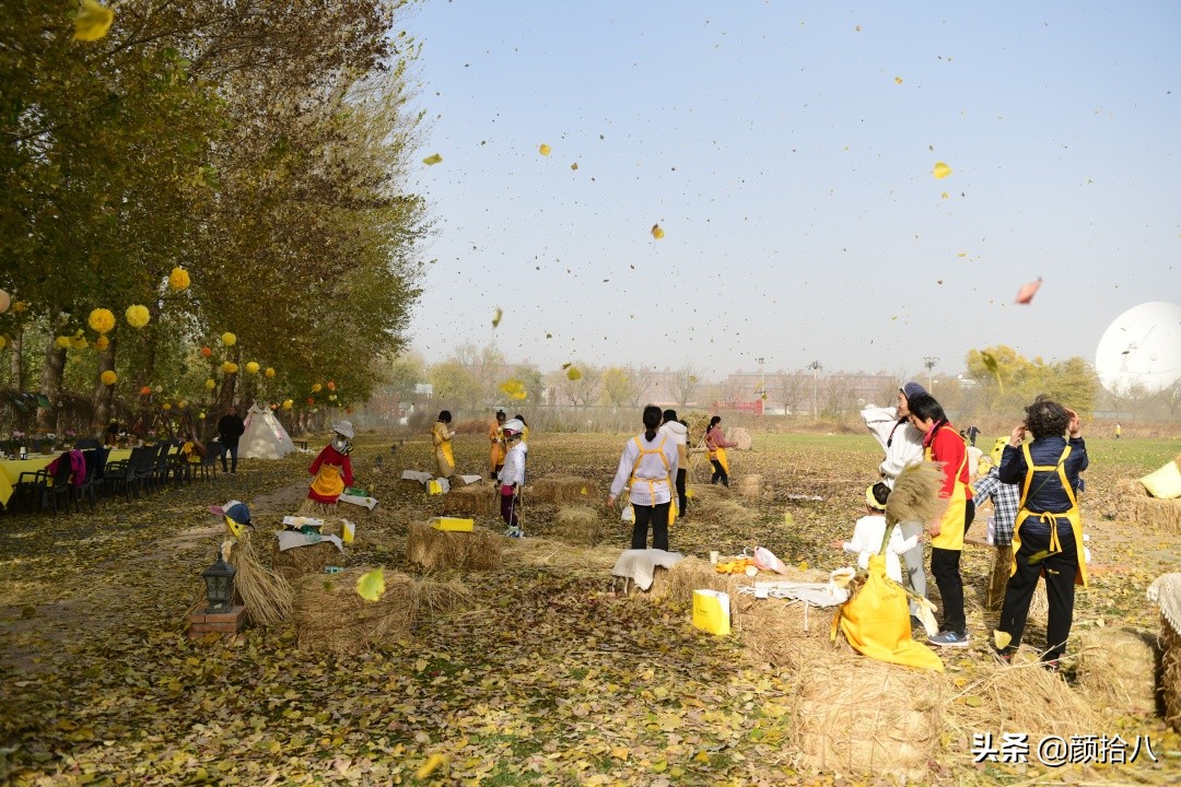 没有比利时花园游,来点比利时啤酒吧|随笔