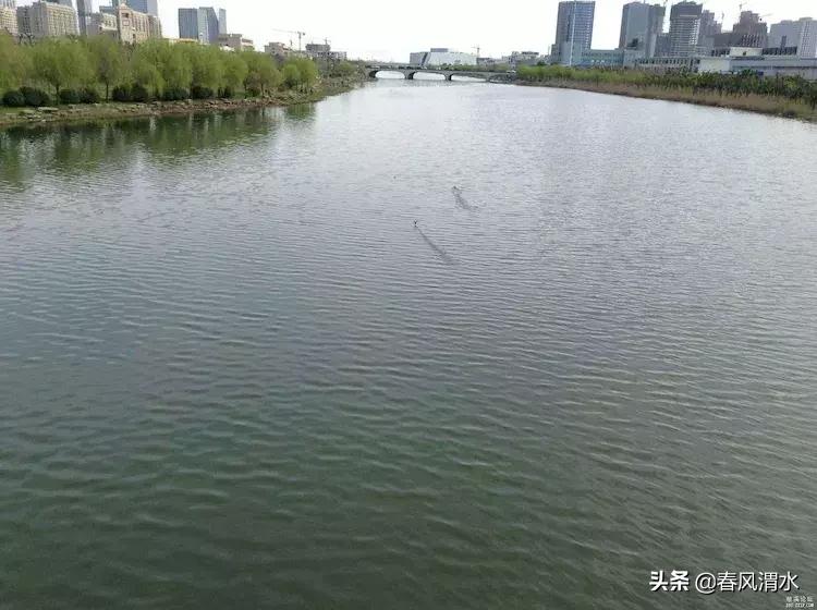 李剑诗,利剑古诗词