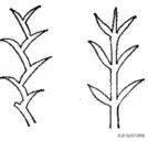 达芬奇画了两幅蒙娜丽莎,达芬奇画了几幅画