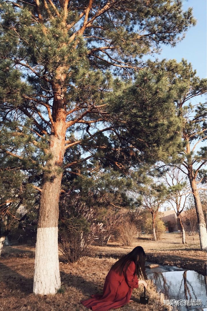 在东北吃饭是一种什么体验,跟东北人吃饭是什么体验