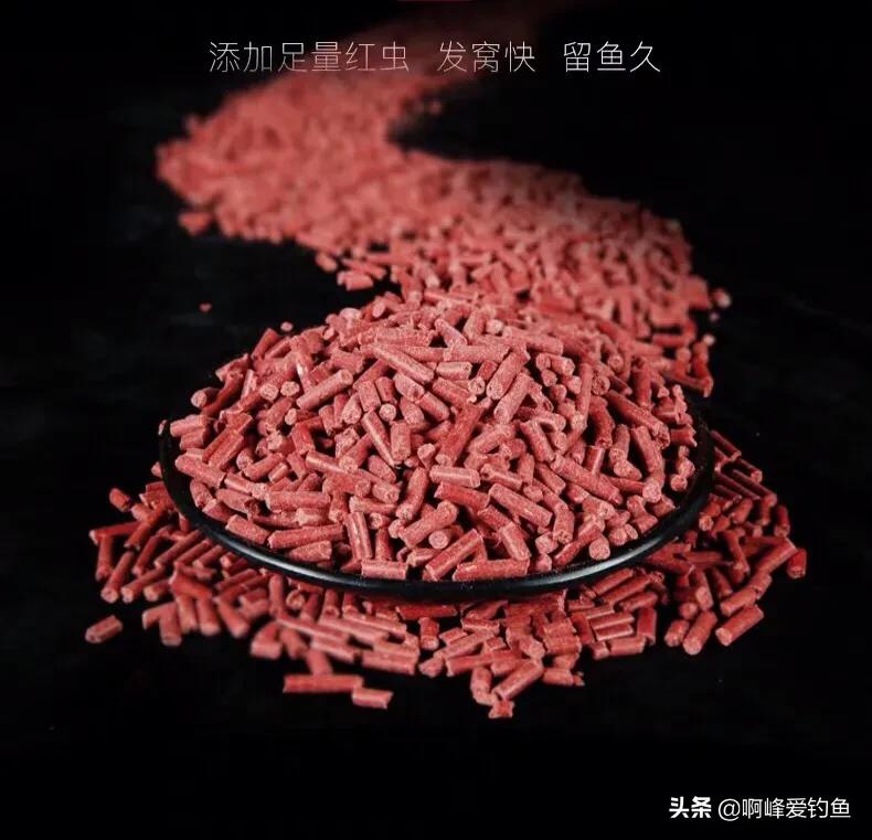 从无到有循序渐进,如何钓乌头鱼跟鲻鱼