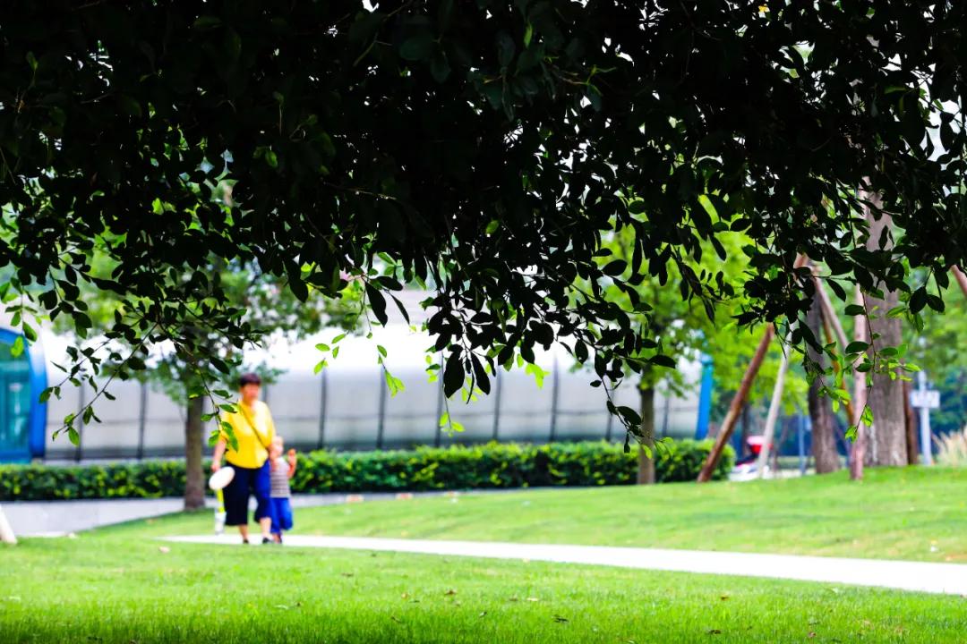 天府大道改造最新消息,为什么天府大道修到仁寿就变弯了