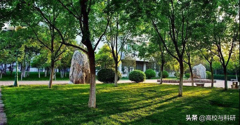 山东财经类大学排名,山东财经大学强的学科