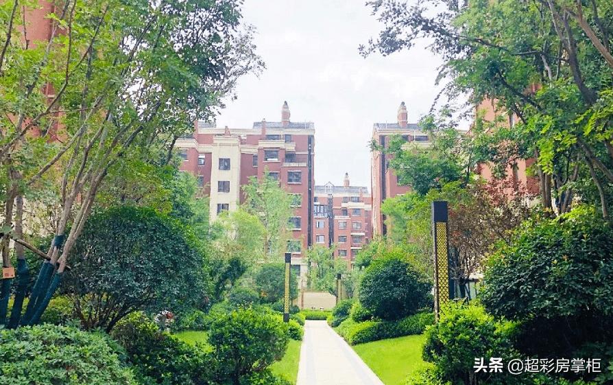 閮戝窞瓒呭嘲鎺㈢洏,閮戝窞瓒呭僵