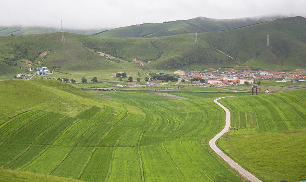 河北承德坝上草原京北第一草原,京北第一草原和坝上草原嘉年华