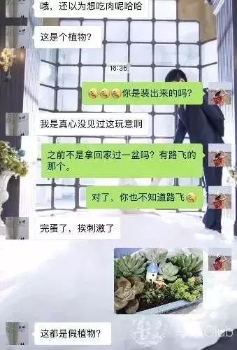 求救:谁能拯救一下我家的直男兵哥?