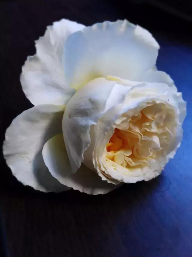 你的名字ost小姐姐,你的名字faded纯音乐版