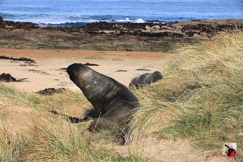 新西兰有哪些景观,新西兰风景最好的地方在哪里