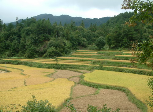 田间趣事完整视频,童年趣事下塘摸鱼