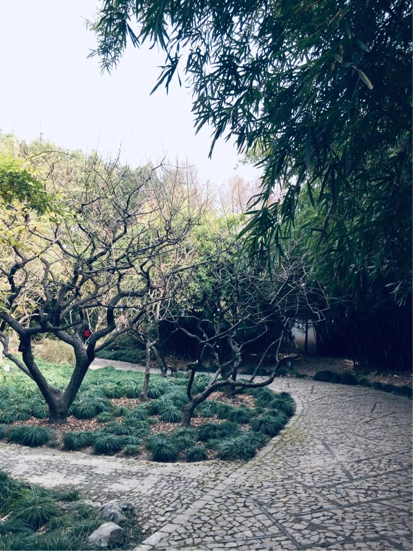 上海古猗园餐厅,上海古猗园详细地址