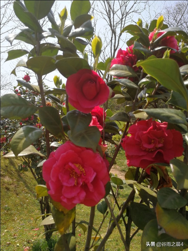 宜兴竹海徒步路线推荐,宜兴竹海最高海拔多少