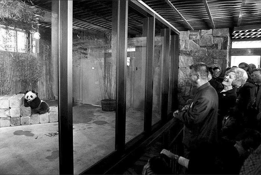 1972年，尼克松不满意毛主席送的4两茶叶，周总理如何轻松化解？