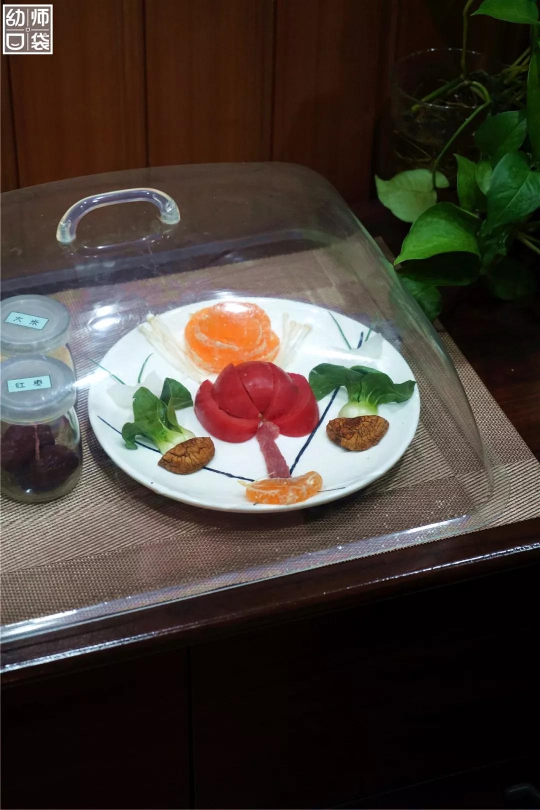 这里有最好的自然、最野的运动、最幸福的老师和孩子丨走进幼儿园