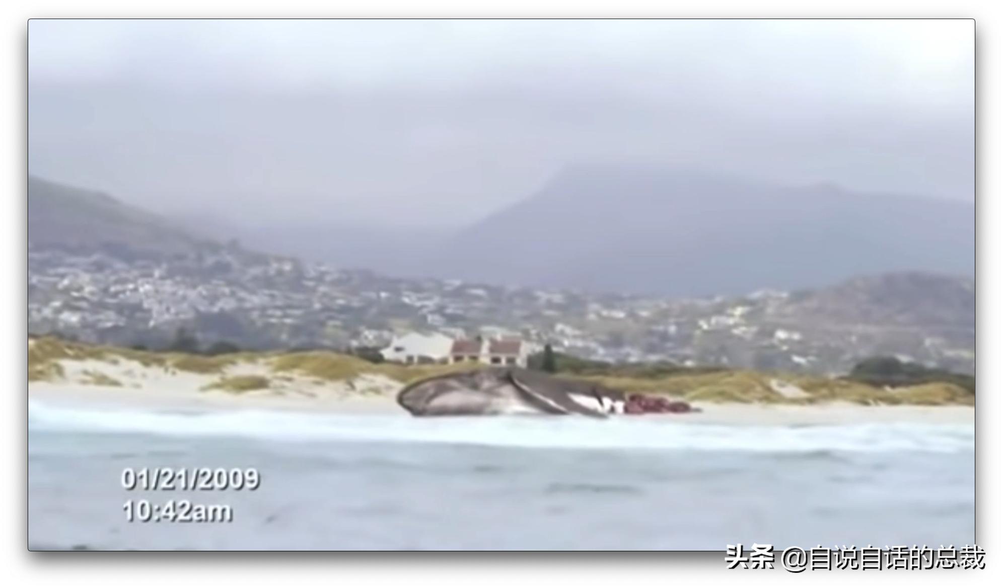 美国探测深海潜艇失踪事件,美国海神号发现了什么