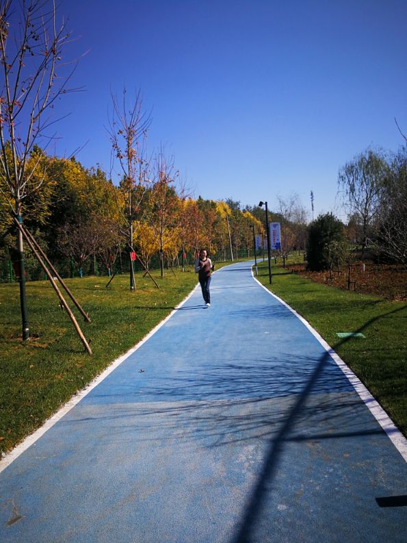 廊坊三叶公园项目信息,廊坊三叶公园附近