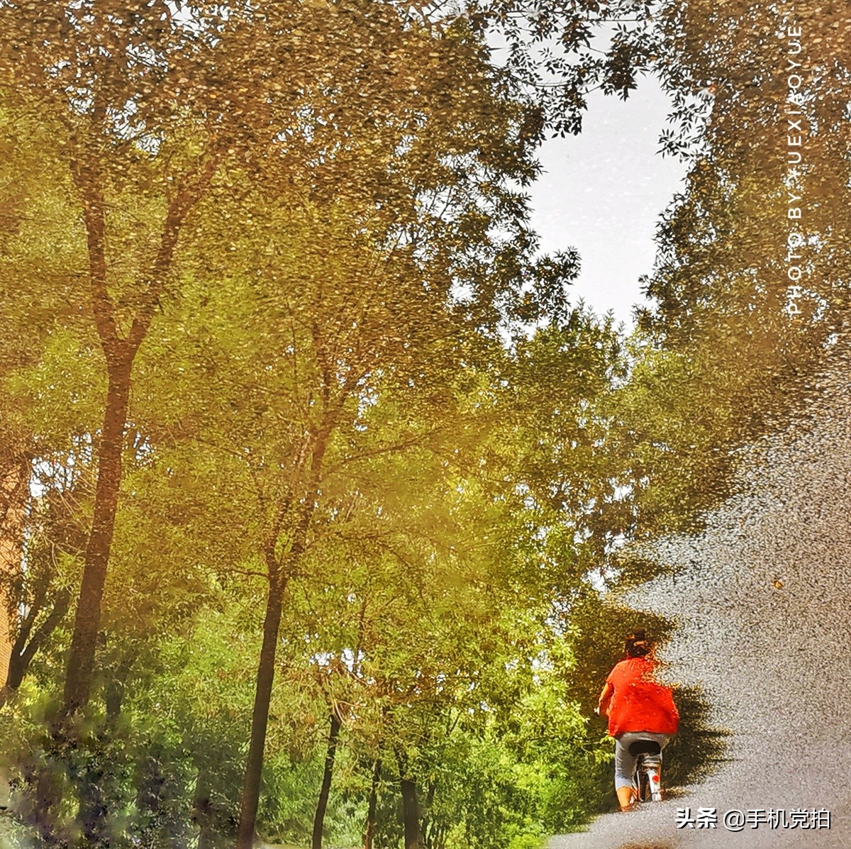 生活小妙招手机摄影,生活小妙招如何拍出爆款