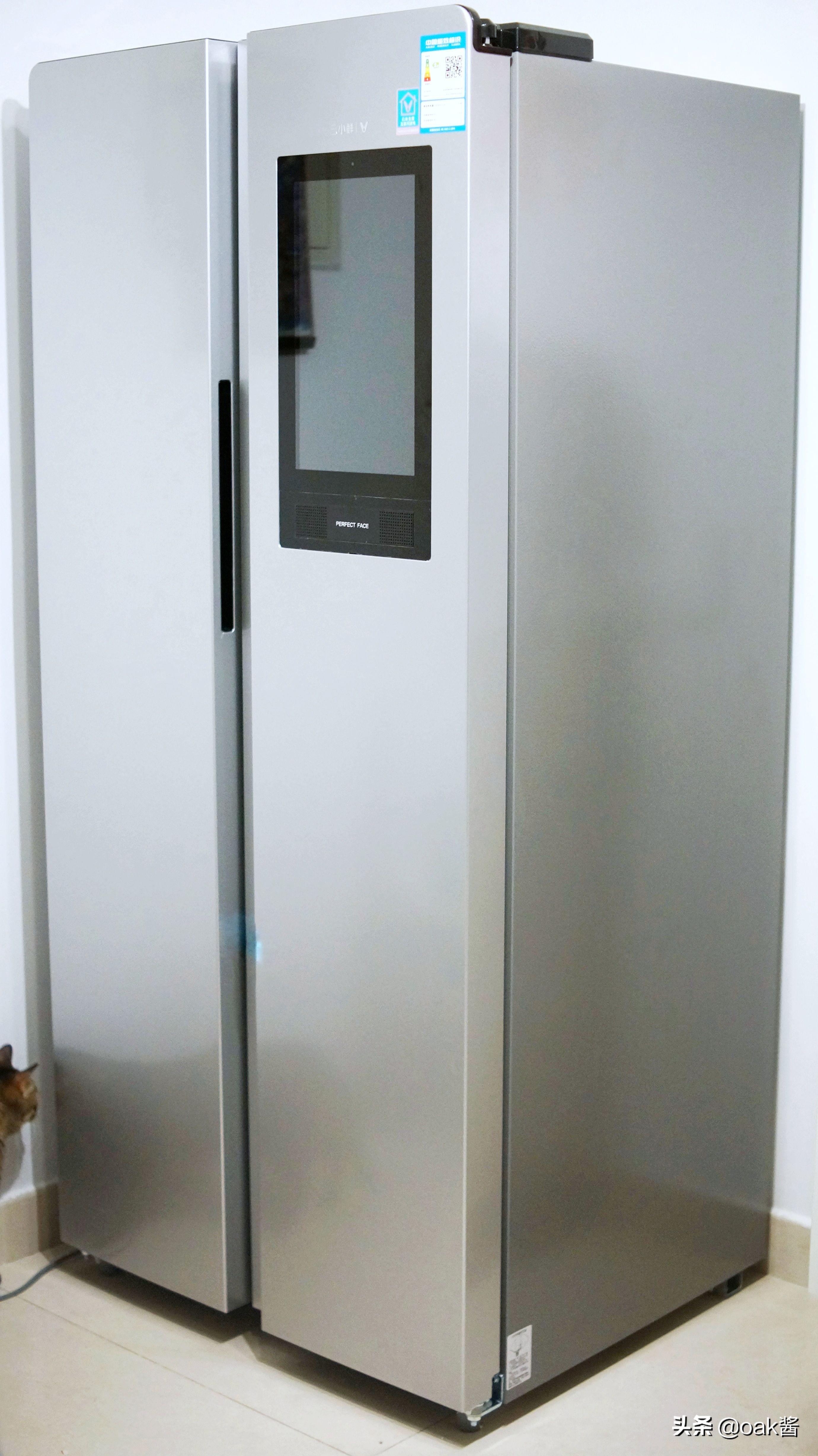 云米智能冰箱双开门真实测评,高科技冰箱刷抖音
