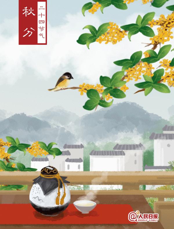 今日秋分|微凉秋雨浸润宛城