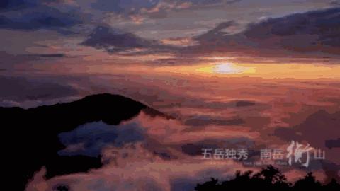 同道渺渺君子堂堂,中英双语