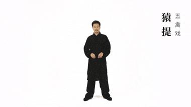 五禽戏传承千年养生功,古传五禽戏高级功法